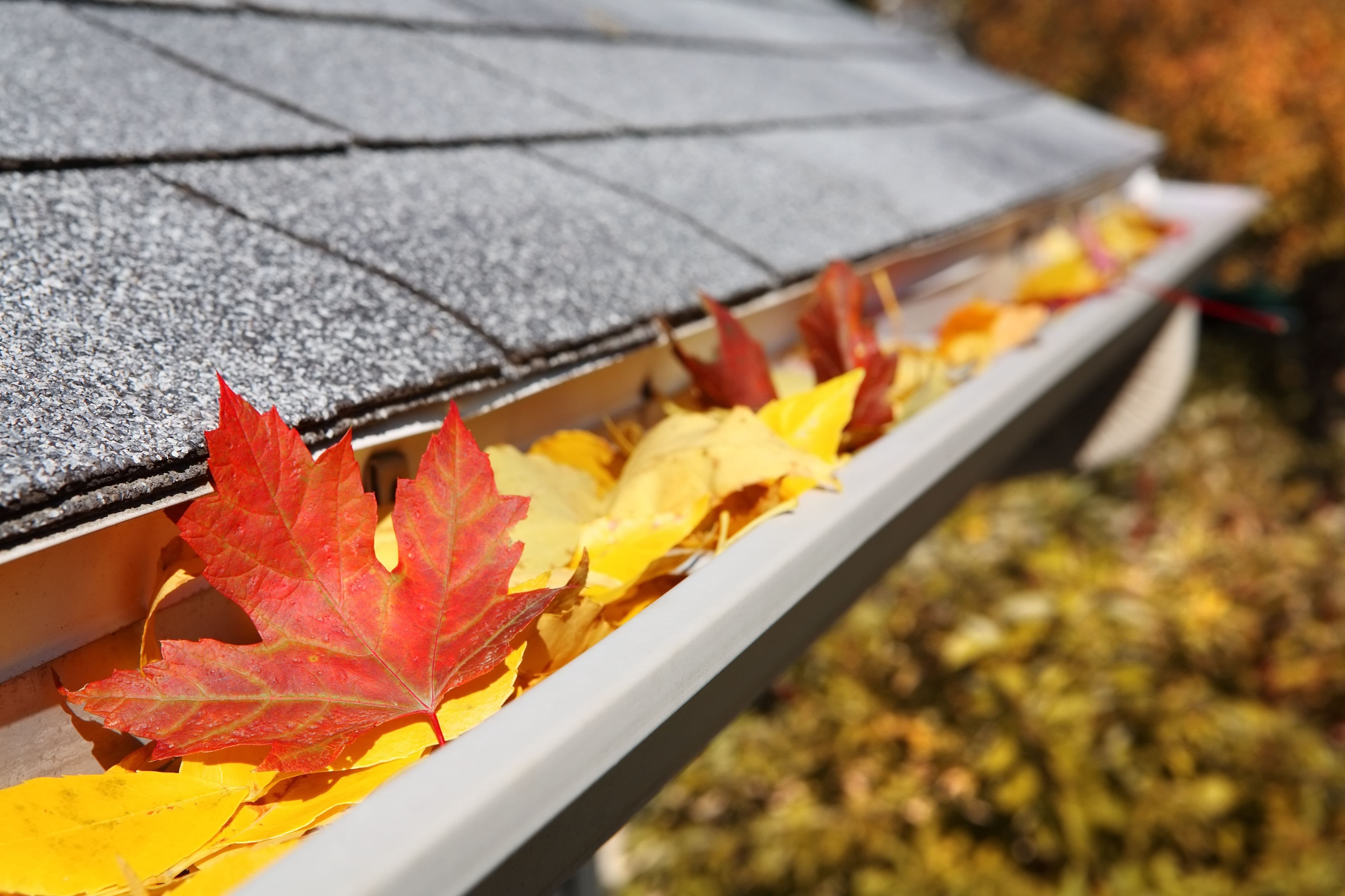 Gutter Services In Baton Rouge, LA